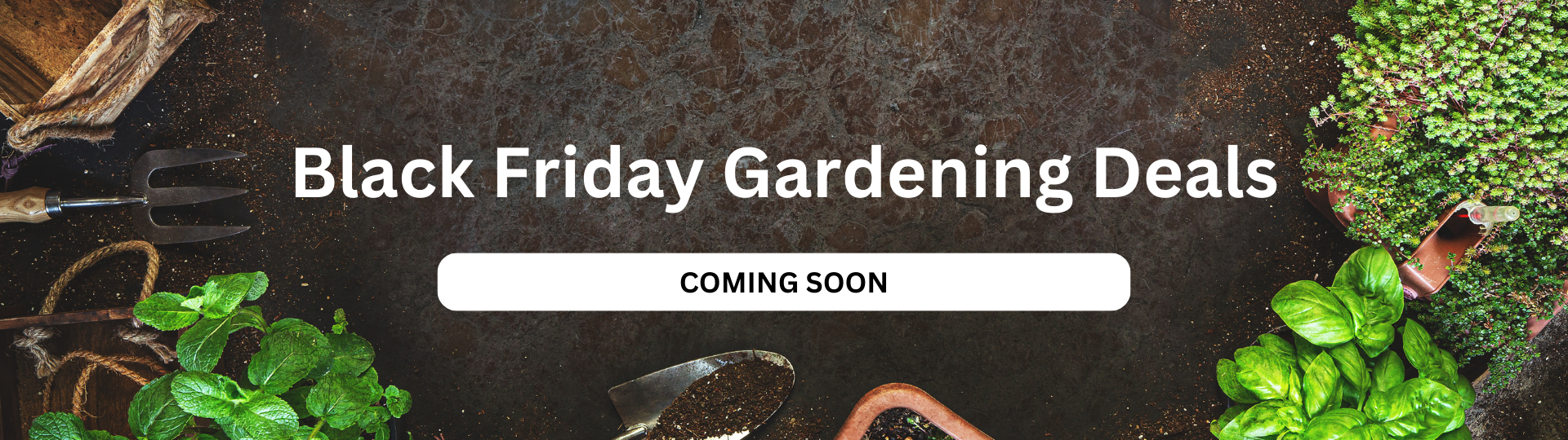 Black Friday garden deals