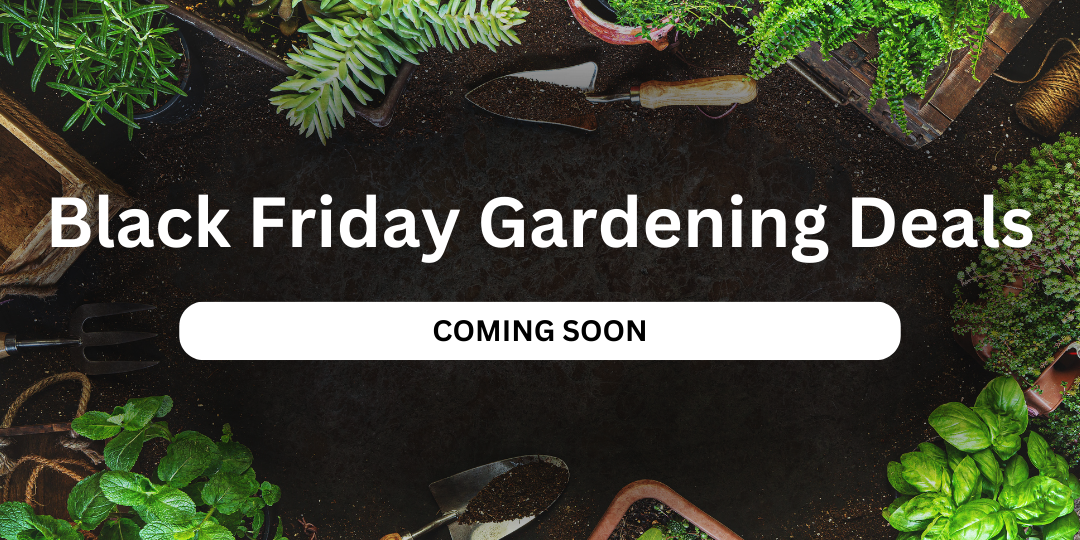 Black Friday garden deals