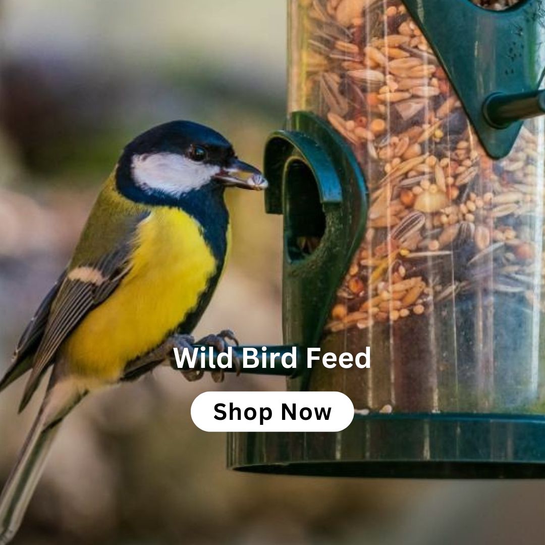 outdoor-pots-planters