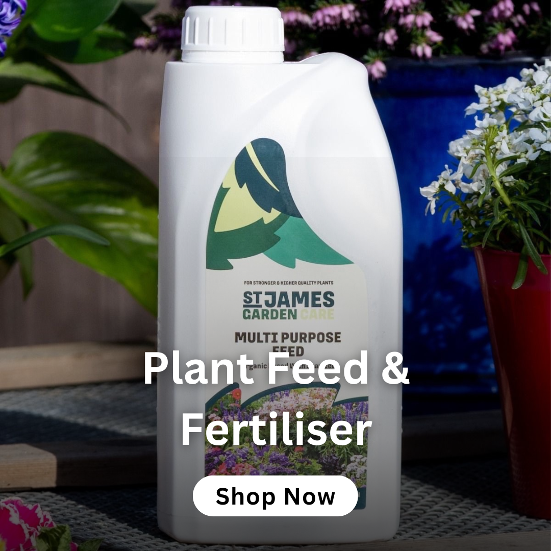 outdoor-pots-planters