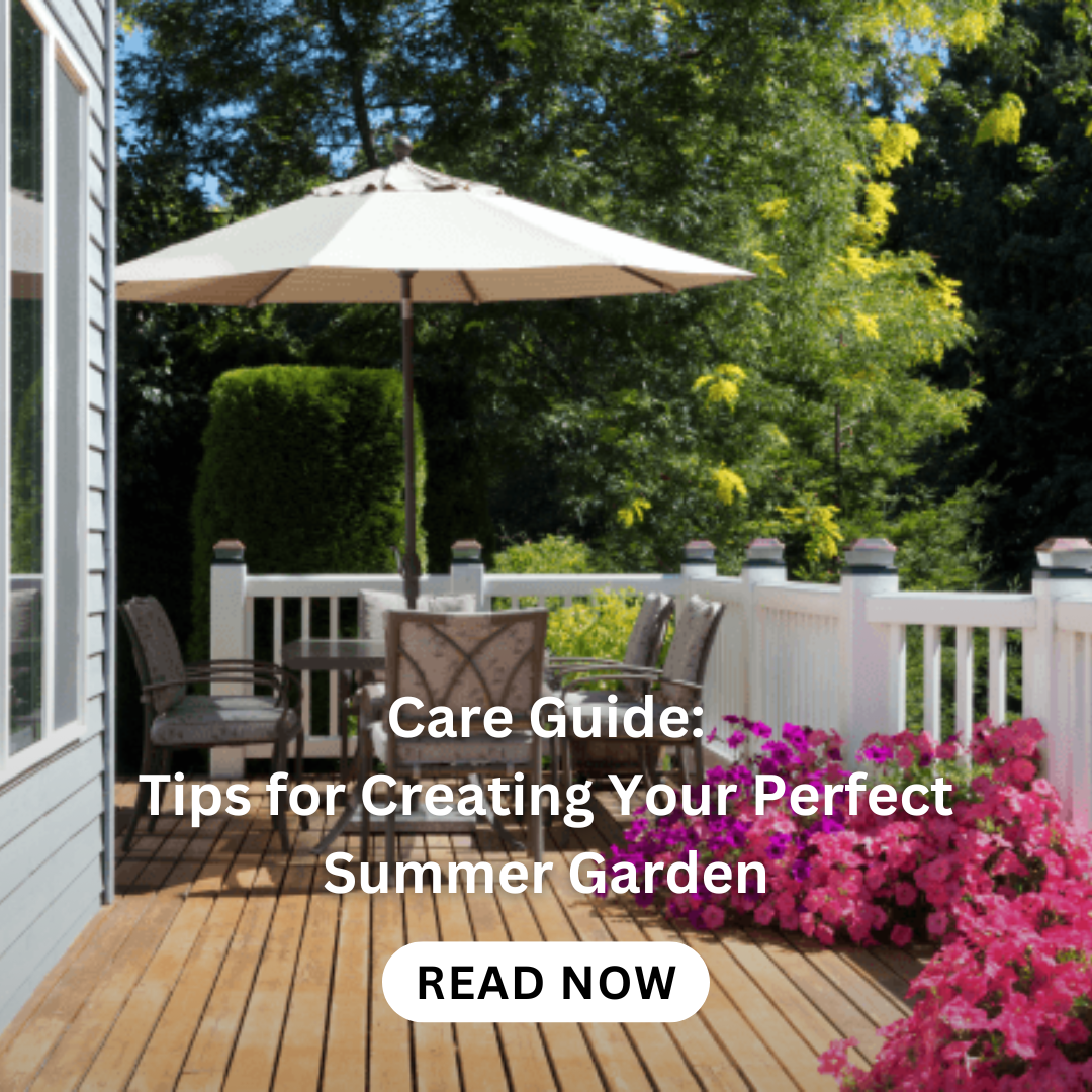standard-roses-planting-care